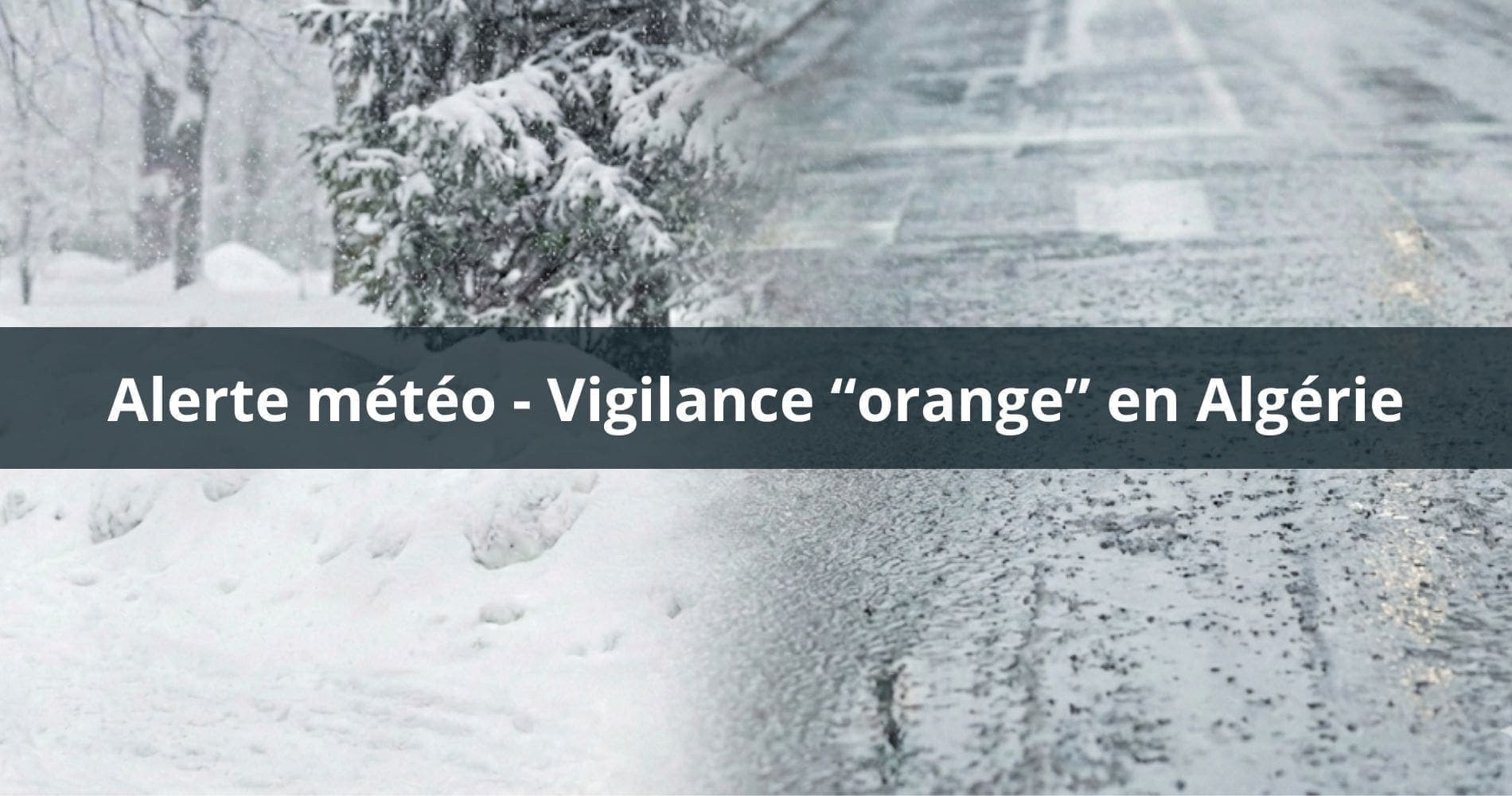 Tempêtes hivernales en Algérie : la nature reprend ses droits