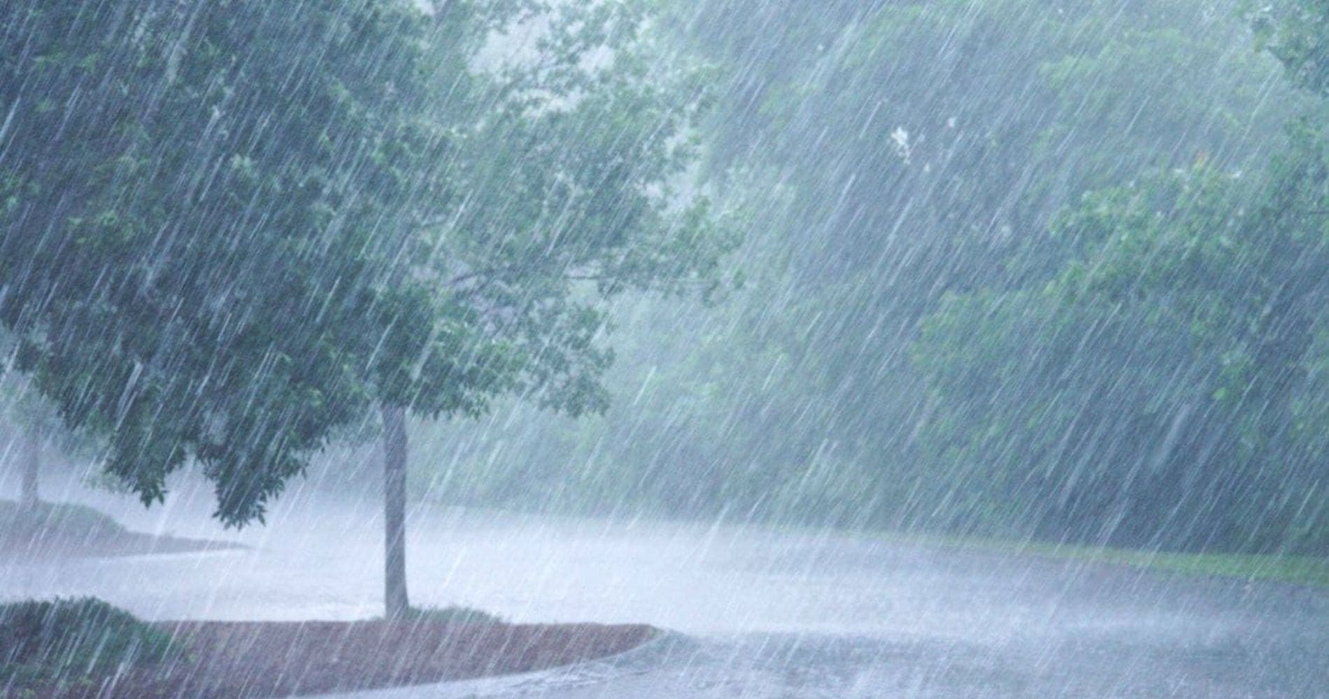 L'Algérie sous les assauts de l'hiver : la nature reprend ses droits