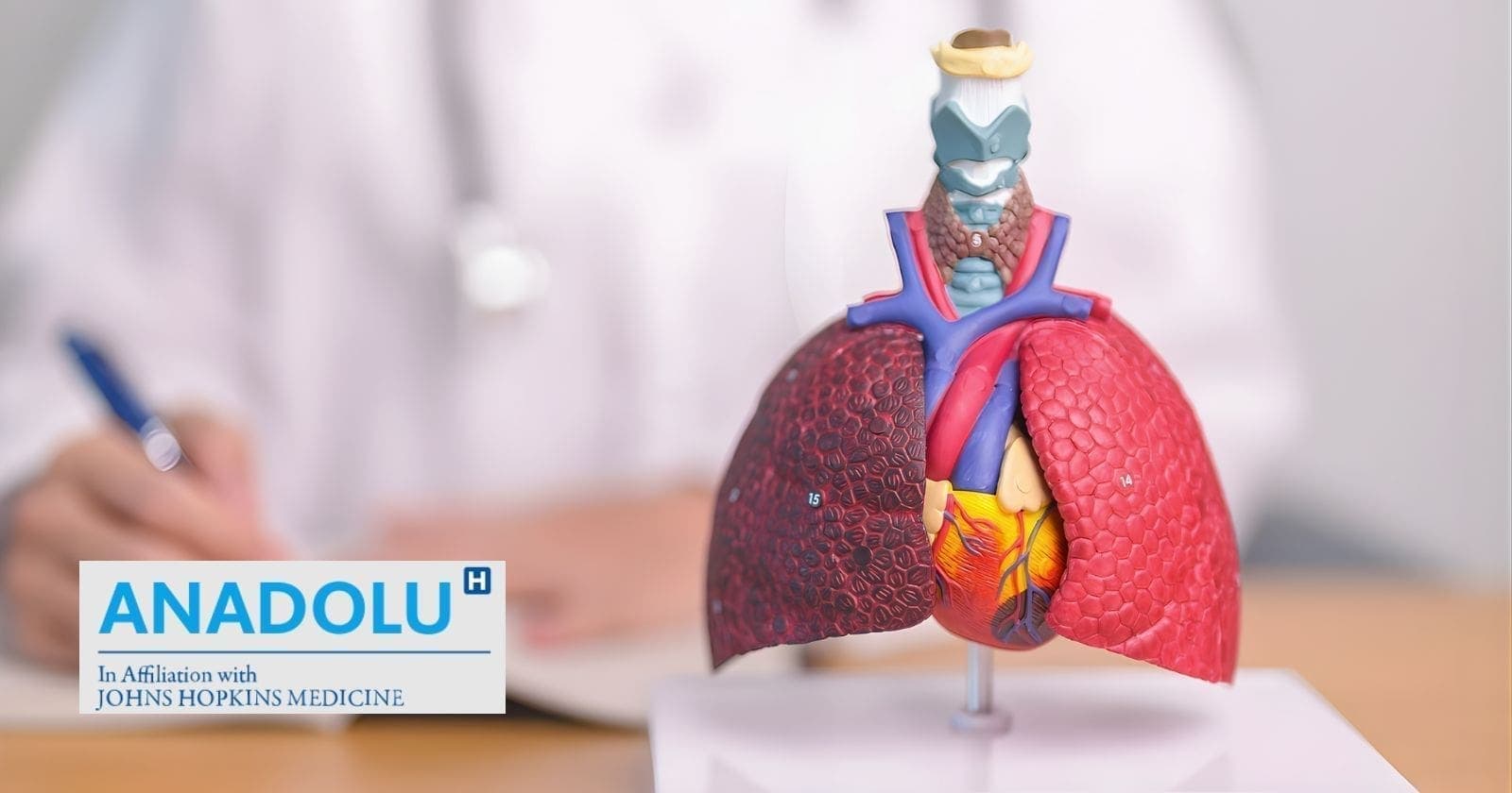 Mésothéliome : quand l'amiante tue nos travailleurs