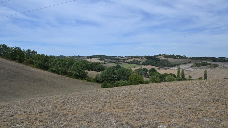 Sécheresse en France : les agriculteurs refusent les fermes industrielles, la terre appelle à l'aide