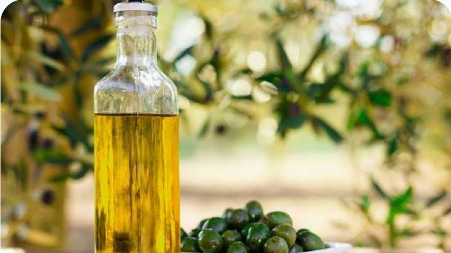 Olive européenne : menace pour les terres du Sud ?