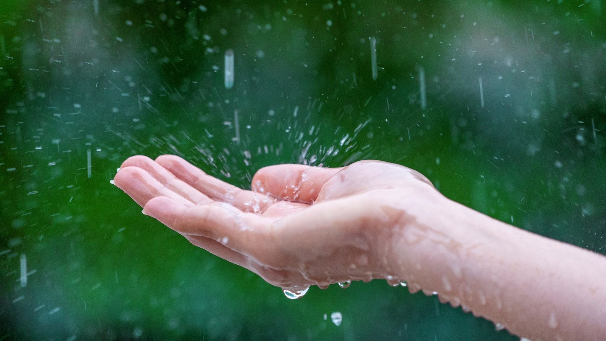 Récupérer l'eau de pluie à Madagascar : un geste pour la terre et le foyer