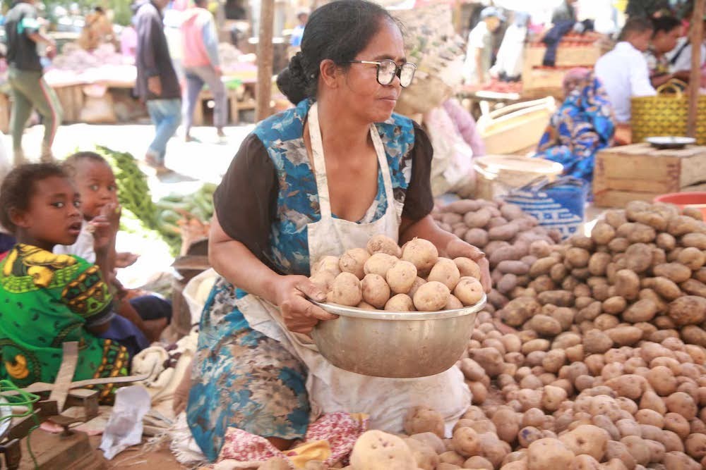 Pommes de terre à Madagascar : la récolte abondante, les paysans spoliés